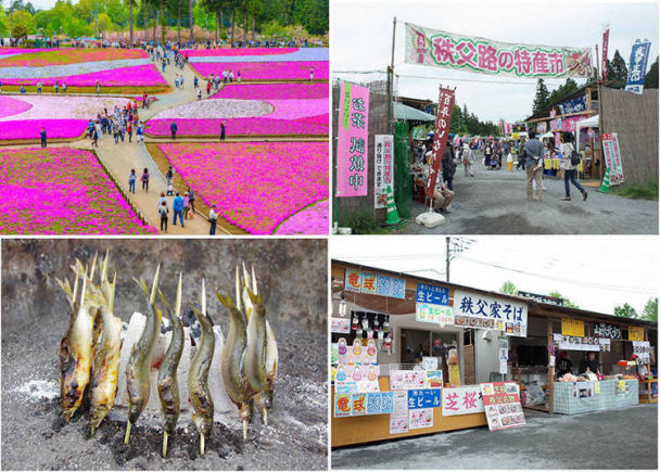 【日本】东京出发 一天往返！东京近郊一日游景点行程推荐