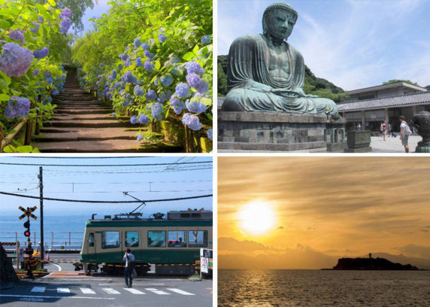 【日本】东京出发 一天往返！东京近郊一日游景点行程推荐