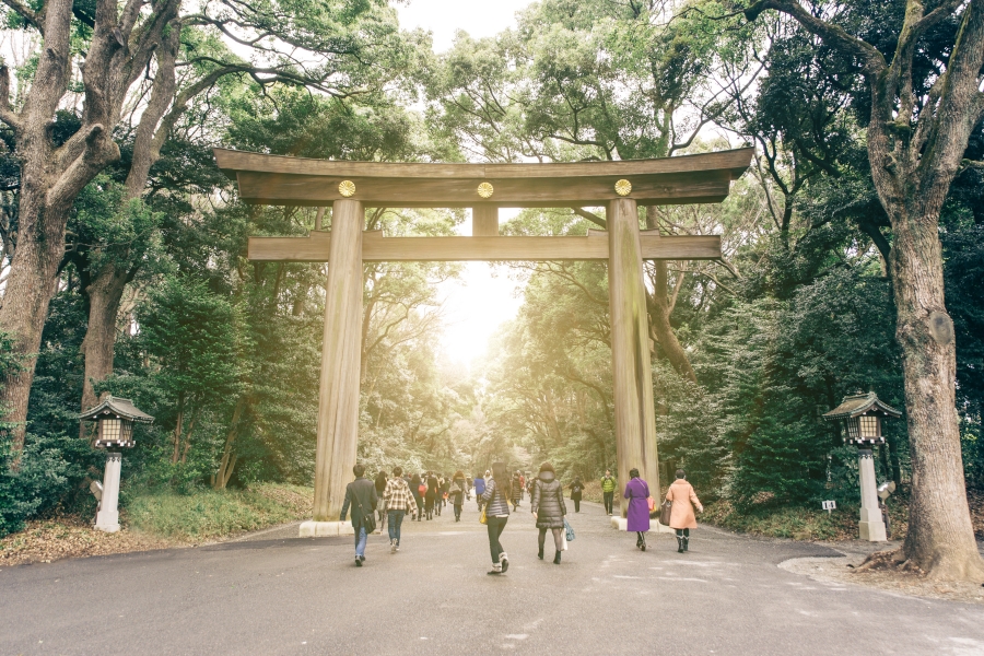 【日本】东京明治神宫攻略：鸟居、博物馆等景点、交通及参拜流程介绍（含附近景点推荐）