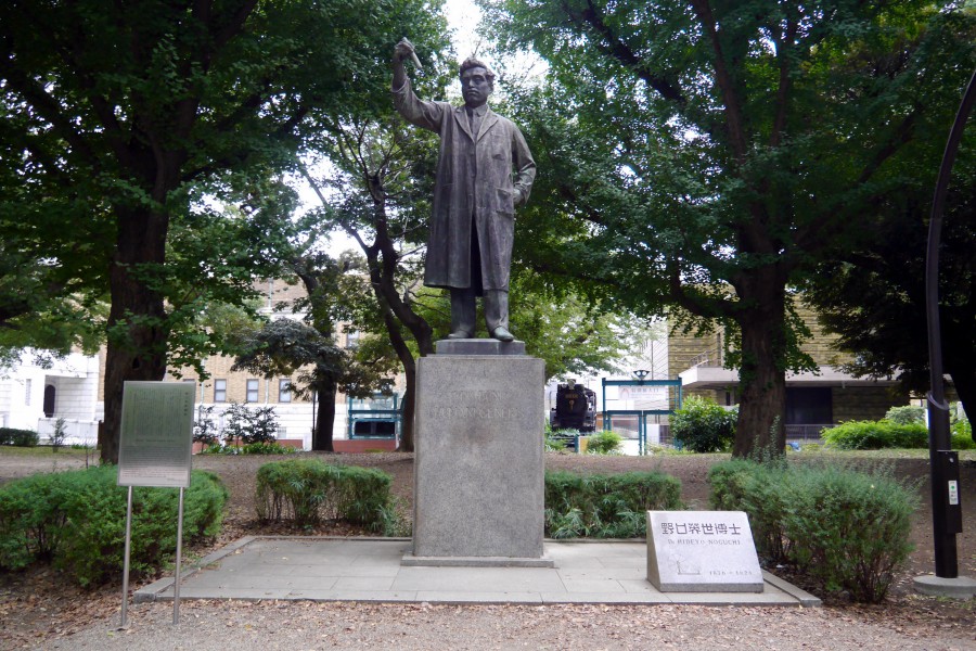【日本】东京上野攻略：上野公园、阿美横町、科学博物馆以及美术馆等上野景点介绍，还有上野美食餐厅、居酒屋、必买药妆店信息！