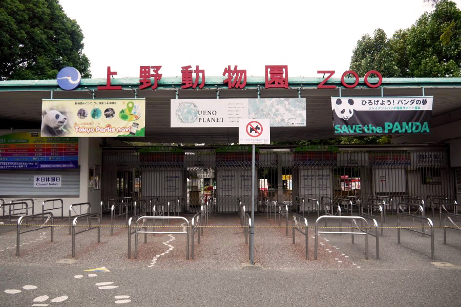【日本】东京上野攻略：上野公园、阿美横町、科学博物馆以及美术馆等上野景点介绍，还有上野美食餐厅、居酒屋、必买药妆店信息！